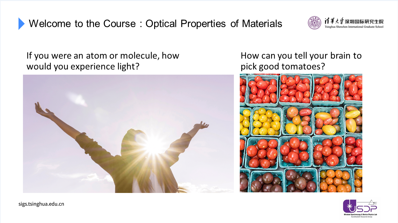 optical course